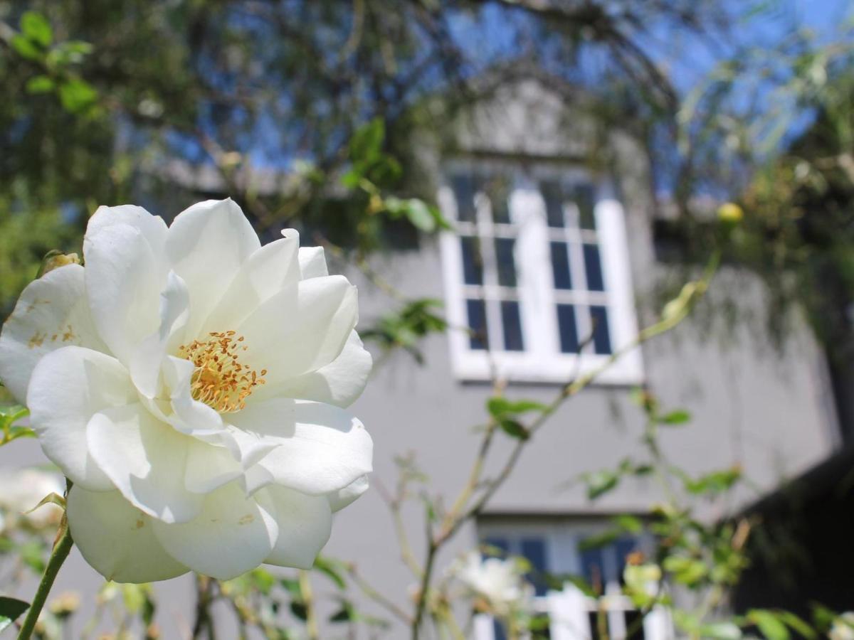 Arumvale Country Retreat Swellendam Exteriér fotografie