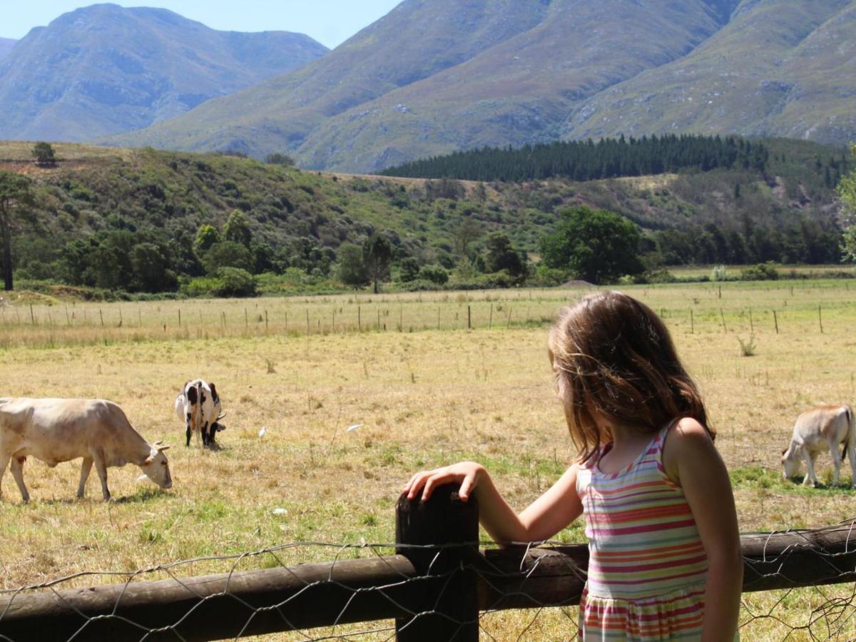 Arumvale Country Retreat Swellendam Exteriér fotografie
