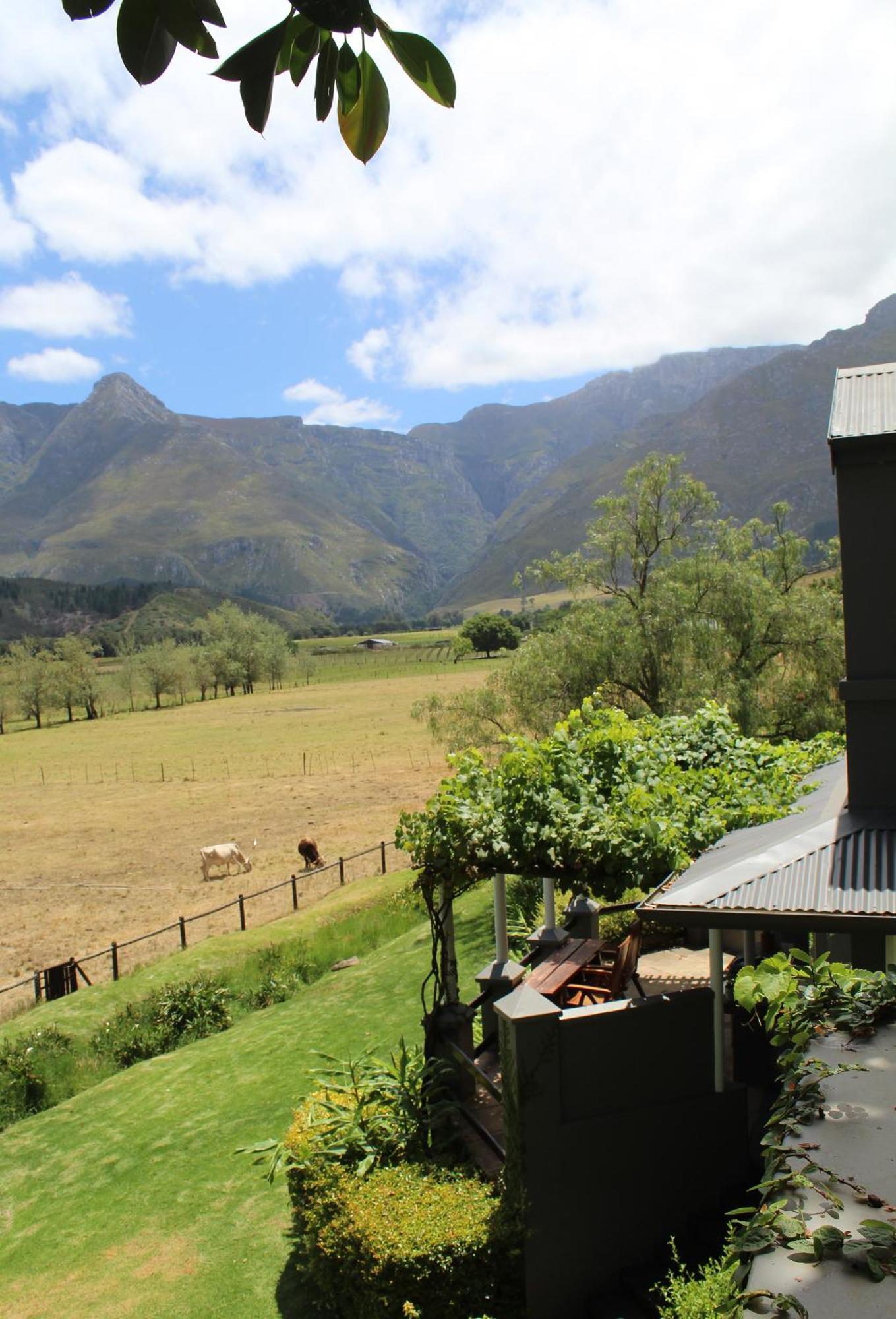 Arumvale Country Retreat Swellendam Exteriér fotografie
