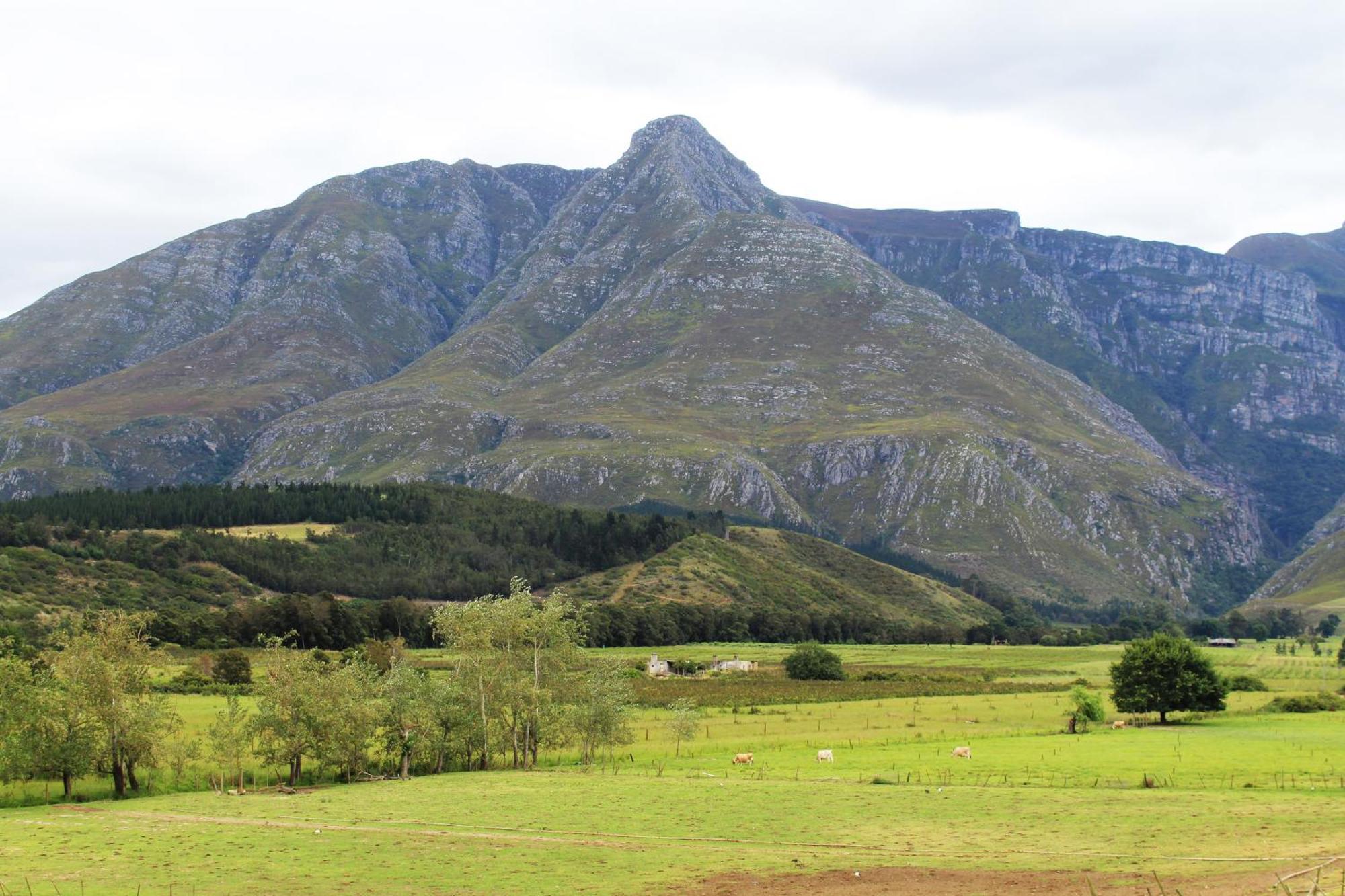 Arumvale Country Retreat Swellendam Exteriér fotografie