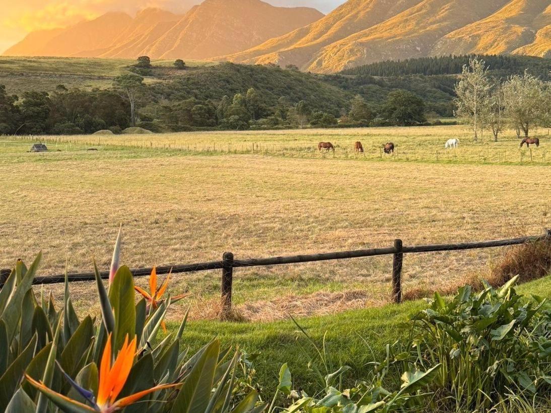 Arumvale Country Retreat Swellendam Exteriér fotografie